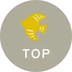 pagetop